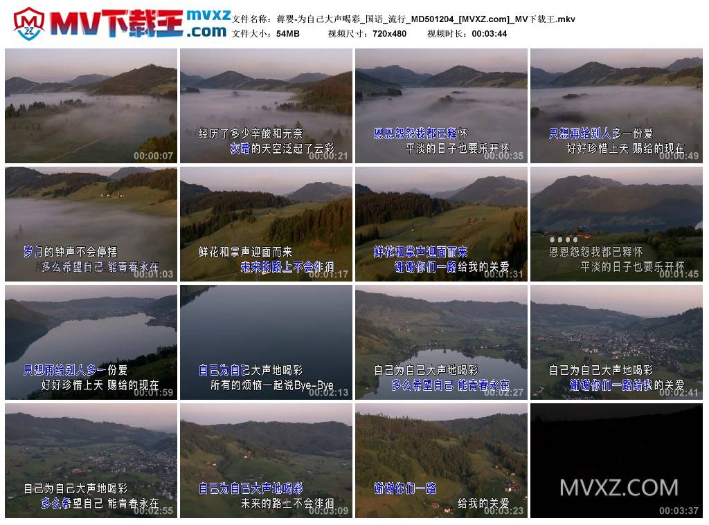 蒋婴-为自己大声喝彩_国语_流行_MD501204